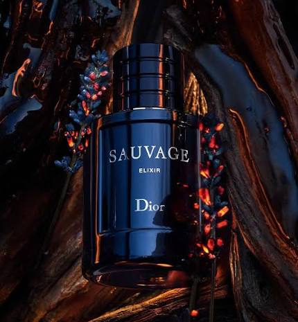 Dior Elixir