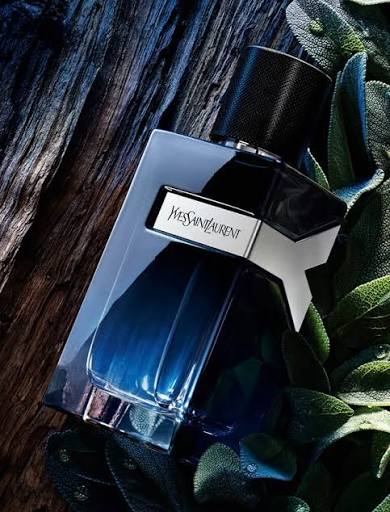 YSL Y EDP