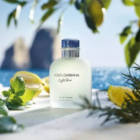 Dolce & Gabbana Light Blue EDT (Male)